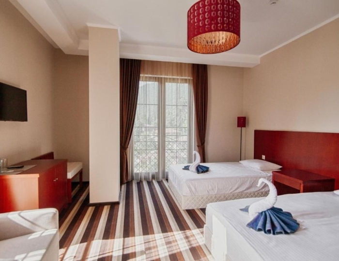 Делюкс 2-местный 1-комнатный - Отель Afon Black Sea Resort / Афон Резорт